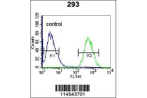 Image no. 3 for anti-Glypican 6 (GPC6) (AA 496-528), (C-Term) antibody (ABIN655620)