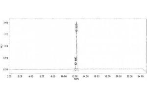 Image no. 1 for Galanin (GAL) peptide (Ovalbumin) (ABIN5666182)