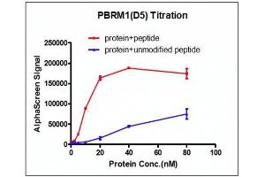 Image no. 1 for Polybromo 1 (PBRM1) (AA 613-734) protein (His tag,DYKDDDDK Tag) (ABIN2669650)