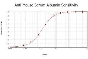 ELISA results of purified Rabbit anti-Mouse Serum Albumin Antibody tested against Mouse Serum Albumin.