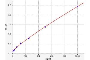 Image no. 1 for Cytochrome P450, Family 11, Subfamily A, Polypeptide 1 (CYP11A1) ELISA Kit (ABIN6966229)