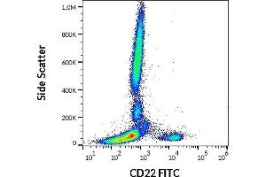 Image no. 1 for anti-CD22 Molecule (CD22) antibody (FITC) (ABIN192422)