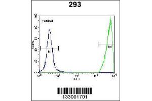 Image no. 5 for anti-GNAS Complex Locus (GNAS) (AA 287-315), (C-Term) antibody (ABIN656989)