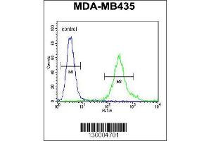 Flow Cytometry (FACS) image for anti-F-Box and Leucine-Rich Repeat Protein 2 (FBXL2) antibody (ABIN2158805)