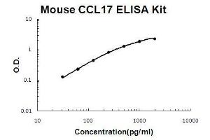 Image no. 1 for Chemokine (C-C Motif) Ligand 17 (CCL17) ELISA Kit (ABIN1672770)