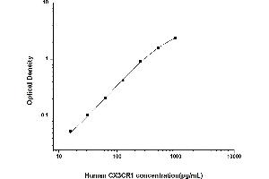 Image no. 1 for Chemokine (C-X3-C Motif) Receptor 1 (CX3CR1) ELISA Kit (ABIN6962093)