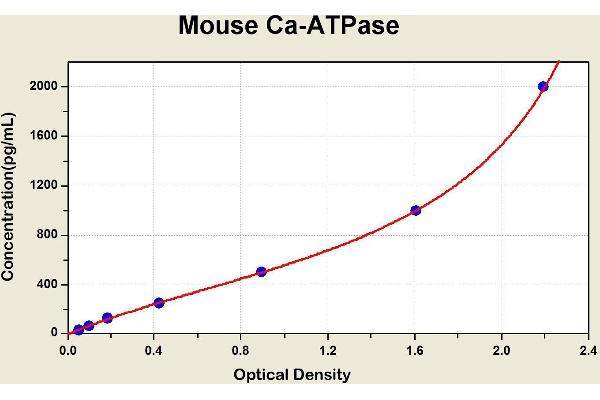 Calcium ATPase At 60A (CA-P60A) ELISA 试剂盒