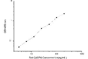 Image no. 1 for Caspase 4, Apoptosis-Related Cysteine Peptidase (CASP4) ELISA Kit (ABIN1113993)