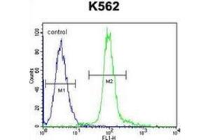 Image no. 1 for anti-Glomulin, FKBP Associated Protein (GLMN) (AA 505-533), (C-Term) antibody (ABIN952528)