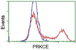 Image no. 3 for anti-Protein Kinase C, epsilon (PRKCE) antibody (ABIN1500232)