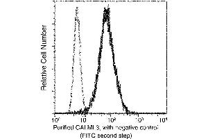 Image no. 2 for anti-Calmodulin Like Protein 3 (CALML3) (AA 1-149) antibody (ABIN6923561)