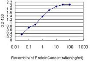 Image no. 3 for anti-Proteasome (Prosome, Macropain) 26S Subunit, Non-ATPase, 14 (PSMD14) (AA 1-95) antibody (ABIN564420)