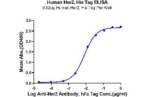 ErbB2/Her2 Protein (His-Avi Tag)