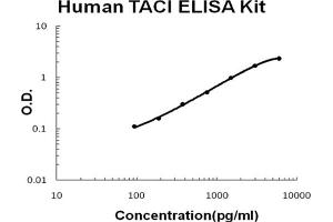 Image no. 1 for Tumor Necrosis Factor Receptor Superfamily, Member 13B (TNFRSF13B) ELISA Kit (ABIN6720294)