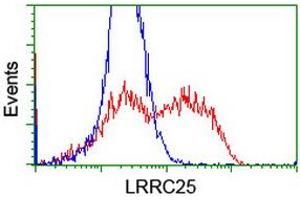 Image no. 1 for anti-Leucine Rich Repeat Containing 25 (LRRC25) antibody (ABIN2724903)