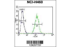 Flow Cytometry (FACS) image for anti-ADP-Ribosylation Factor-Like 17A (ARL17A) (Center) antibody (ABIN2159252)