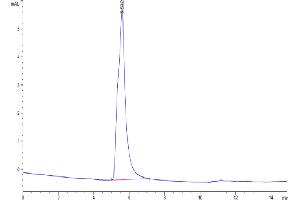 Size-exclusion chromatography-High Pressure Liquid Chromatography (SEC-HPLC) image for Claudin 6 (CLDN6) (Active) protein-VLP (ABIN7448159)