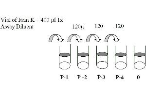 Image no. 5 for Mitogen-Activated Protein Kinase 14 (MAPK14) ELISA Kit (ABIN625242)