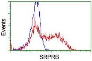 Image no. 13 for anti-Signal Recognition Particle Receptor, B Subunit (SRPRB) antibody (ABIN1501126)