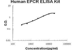 Image no. 1 for Protein C Receptor, Endothelial (PROCR) ELISA Kit (ABIN6719927)