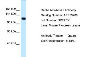 Image no. 1 for anti-Ankyrin Repeat and Sterile alpha Motif Domain Containing 1A (ANKS1A) (C-Term) antibody (ABIN2786097)