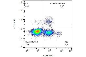 anti-Killer Cell Immunoglobulin-Like Receptor, Two Domains, Long Cytoplasmic Tail, 5A (KIR2DL5A) antibody (PE)