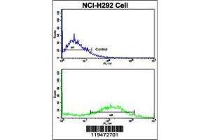 Flow Cytometry (FACS) image for anti-Calponin 1 (CNN1) antibody (ABIN2158297)