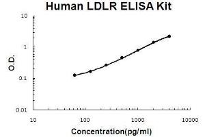 Human LDLR PicoKine ELISA Kit standard curve