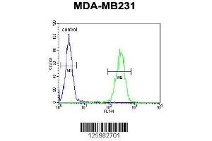 Image no. 2 for anti-Interleukin 1 Family, Member 6 (IL1F6) (AA 35-61) antibody (ABIN651427)