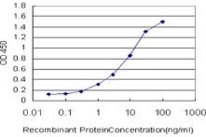 Image no. 1 for anti-Protocadherin 7 (PCDH7) (AA 31-124) antibody (ABIN562126)