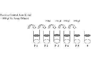 Image no. 1 for Epidermal Growth Factor Receptor (EGFR) ELISA Kit (ABIN625234)