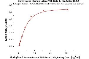 Transforming Growth Factor, beta 1 (TGFB1) (AA 30-390) (Active) protein (His tag,AVI tag,Biotin)