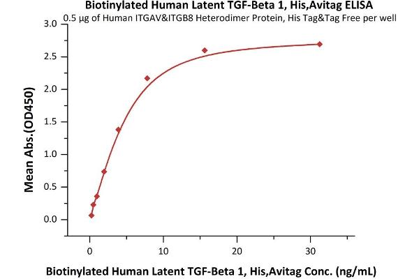 Transforming Growth Factor, beta 1 (TGFB1) (AA 30-390) (Active) protein (His tag,AVI tag,Biotin)