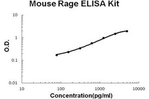Advanced Glycosylation End Product-Specific Receptor (AGER) ELISA Kit