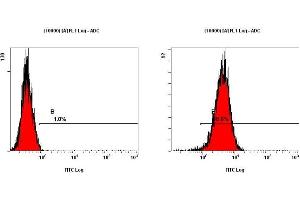 Image no. 2 for anti-Teratocarcinoma-Derived Growth Factor 1 (TDGF1) (AA 100-150) antibody (ABIN363355)