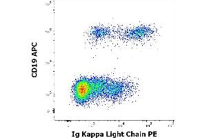Image no. 3 for anti-kappa Light Chain antibody (PE) (ABIN1027676)