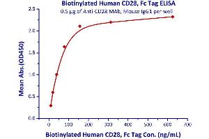 Image no. 3 for CD28 (CD28) (AA 19-152) (Active) protein (Fc Tag,AVI tag,Biotin) (ABIN3137669)