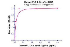 Immobilized Human B7-2, Fc Tag  with a linear range of 1-20 ng/mL.