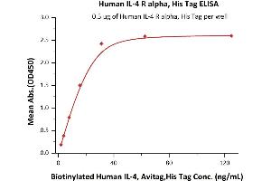 Immobilized Human IL-4 R alpha, His Tag (ABIN2181320,ABIN2181319) at 5 μg/mL (100 μL/well) can bind Biotinylated Human IL-4, Avitag,His Tag (ABIN3137668,ABIN5674029) with a linear range of 2-16 ng/mL (QC tested).