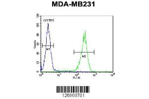 Image no. 3 for anti-RAB11 Family Interacting Protein 2 (Class I) (RAB11FIP2) (AA 345-374) antibody (ABIN651666)