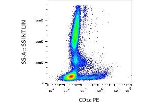 Image no. 1 for anti-T-cell surface glycoprotein CD1c (CD1C) antibody (PE) (ABIN1981893)