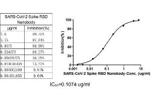 ELISA image for anti-SARS-CoV-2 Spike S1 (RBD) antibody (ABIN6953152)