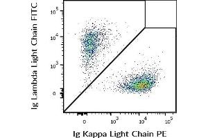 Image no. 2 for anti-kappa Light Chain antibody (PE) (ABIN1027676)