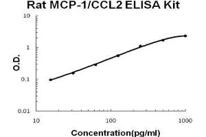 Image no. 1 for Chemokine (C-C Motif) Ligand 2 (CCL2) ELISA Kit (ABIN1672827)
