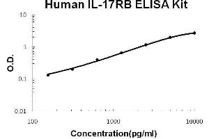 Interleukin 17 Receptor B (IL17RB) ELISA Kit