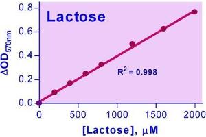 Biochemical Assay (BCA) image for Lactose Assay Kit (ABIN1000319)