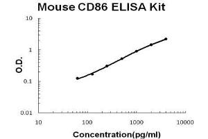 Image no. 1 for CD86 (CD86) ELISA Kit (ABIN2859285)