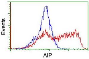 Image no. 2 for anti-Aryl Hydrocarbon Receptor Interacting Protein (AIP) antibody (ABIN1496677)