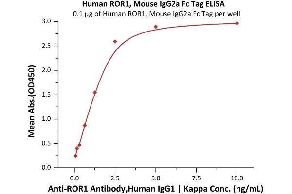 Receptor Tyrosine Kinase-Like Orphan Receptor 1 (ROR1) (AA 30-403) (Active) protein (Fc Tag)
