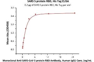 SARS-Coronavirus Spike Protein (SARS-CoV S) (RBD) protein (His tag)